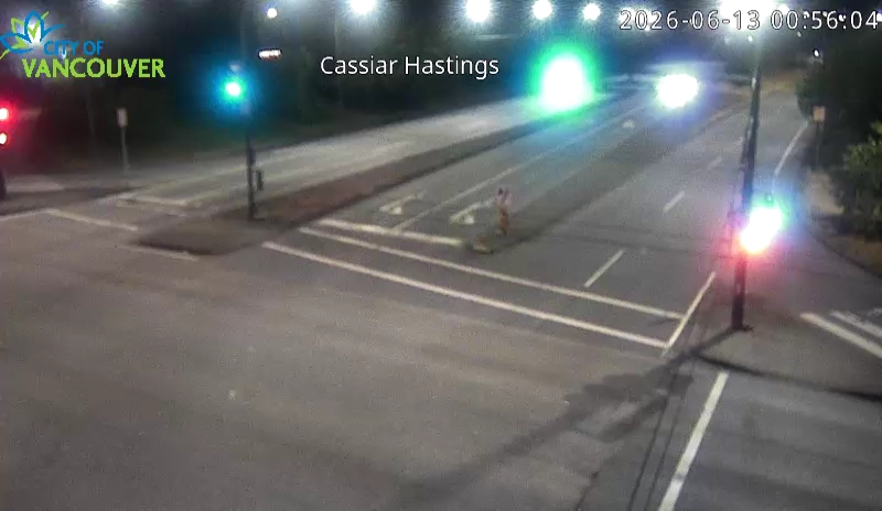 Cassiar Connector & E Hastings St - South